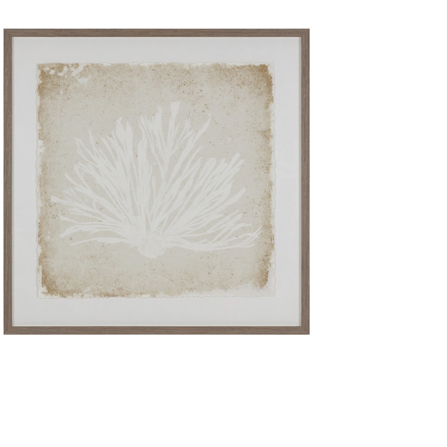 Aquatic Flora I 40 X 40 inch Nature